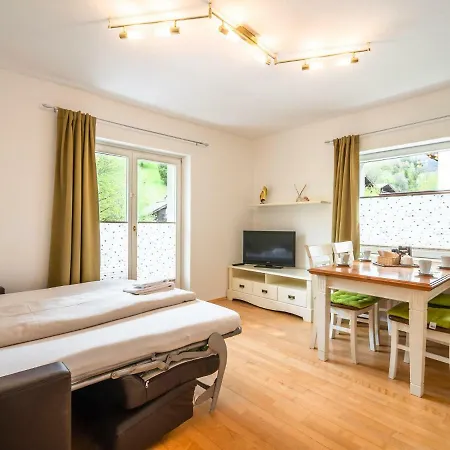Splendid In Zell Am With Garden Apartment *